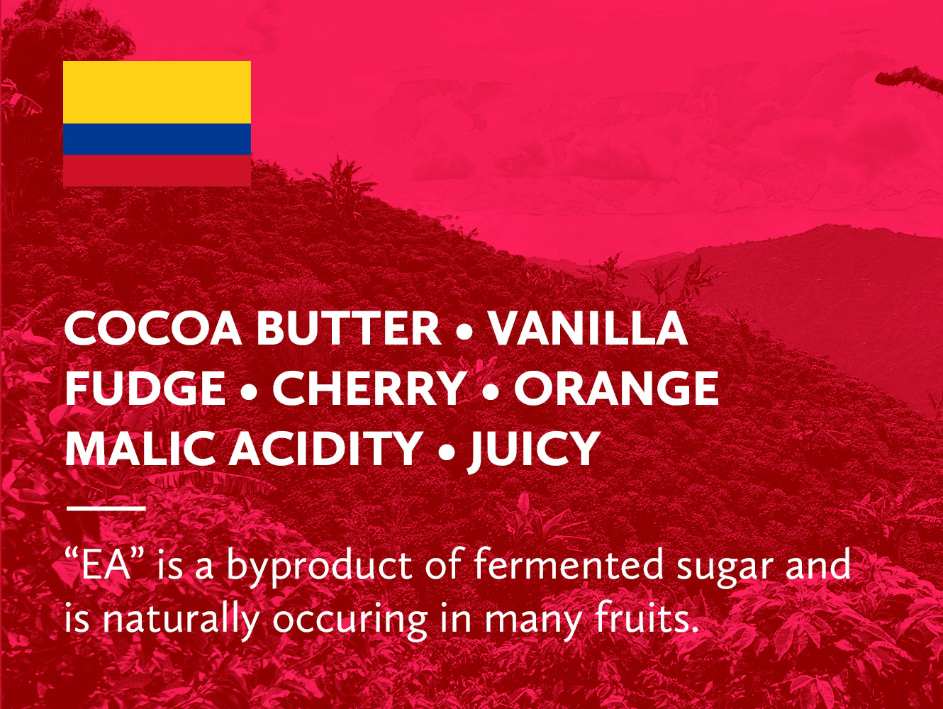 Coffee infographic with tasting notes and Colombian flag on a red background