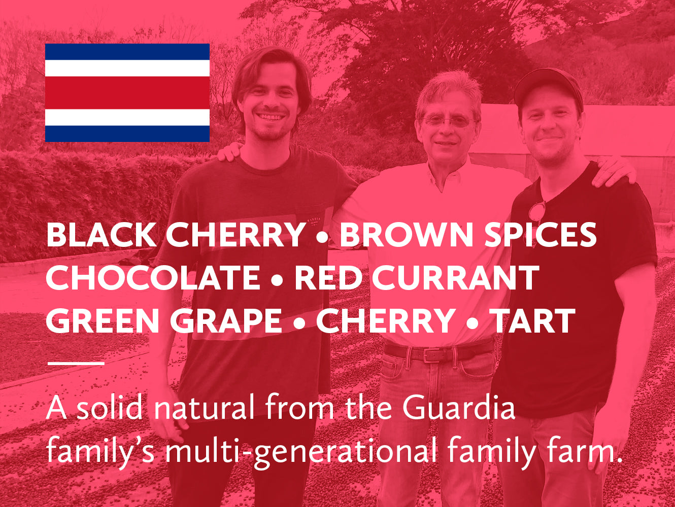 Coffee infographic with Costa Rican flag and tasting notes