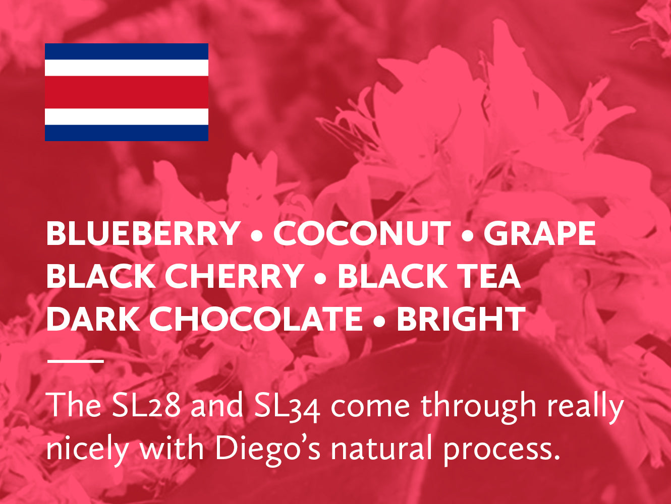 Product flavor list with a red background and text overlay