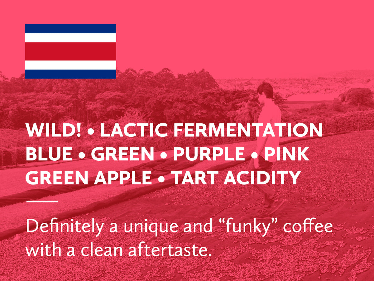 Coffee infographic with Costa Rican flag and tasting notes on a red background