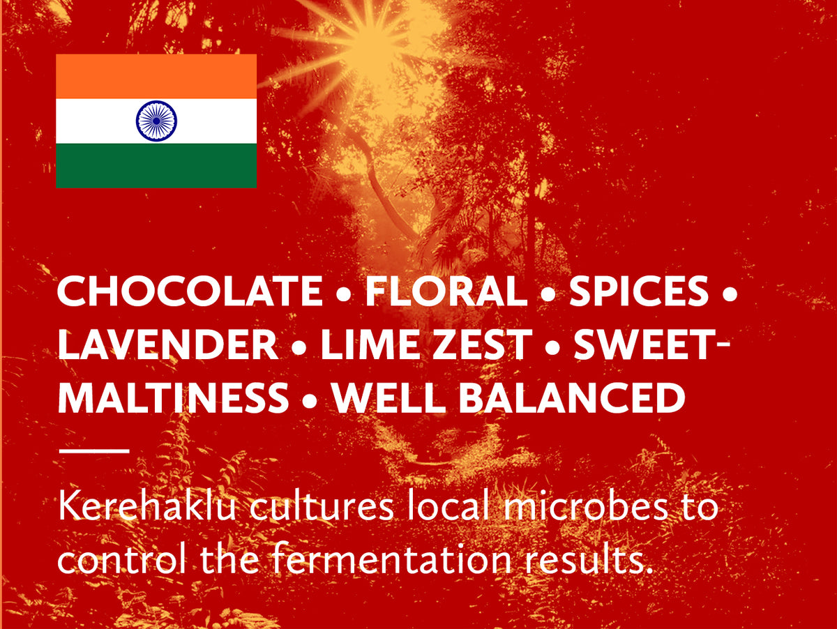 Coffee infographic with Indian flag and tasting notes on orange background