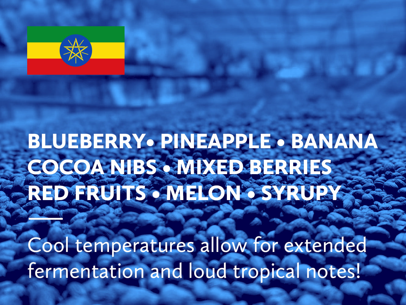 Coffee infographic with tasting notes and Ethiopian flag on a blue background.