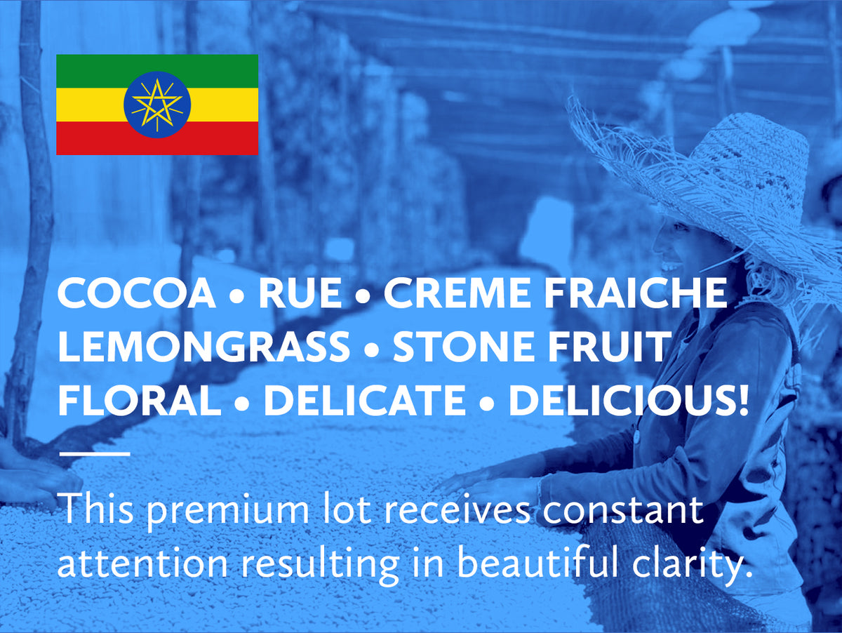 Coffee infographic with tasting notes and Ethiopian flag on a blue background.