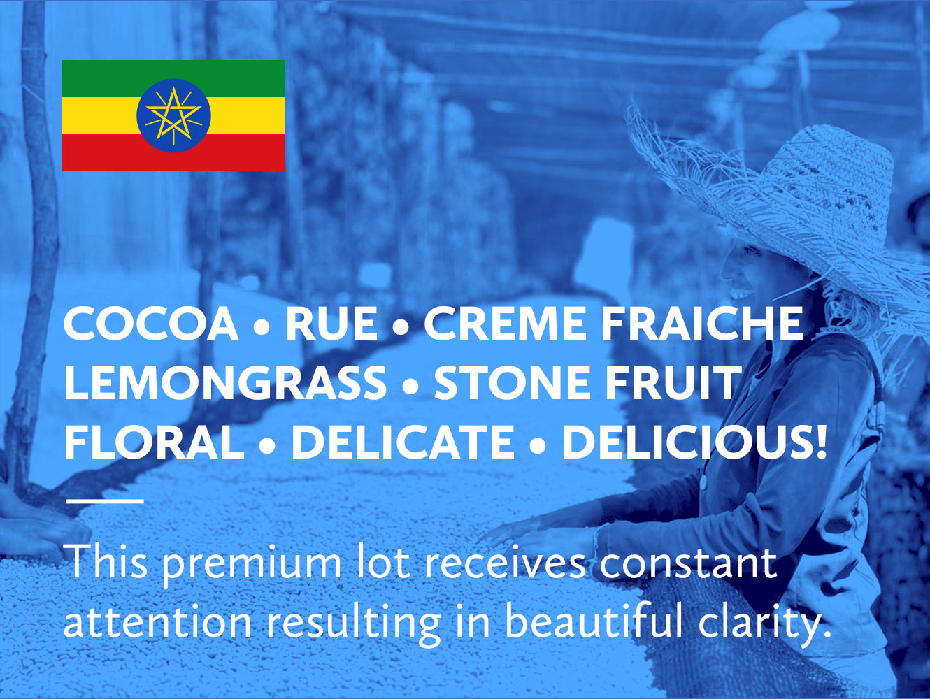 Coffee infographic with tasting notes and Ethiopian flag on a blue background.