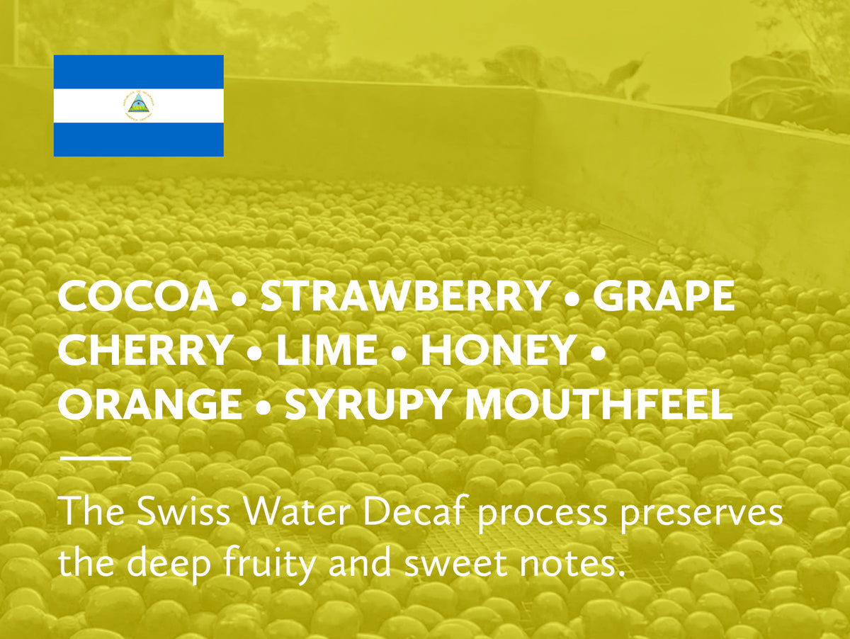 Coffee infographic with tasting notes and Nicaraguan flag on a yellow background.