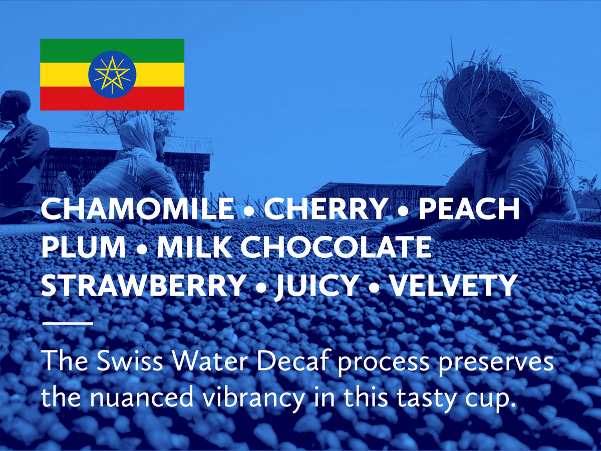 Coffee infographic with tasting notes and Ethiopian flag on a blue background