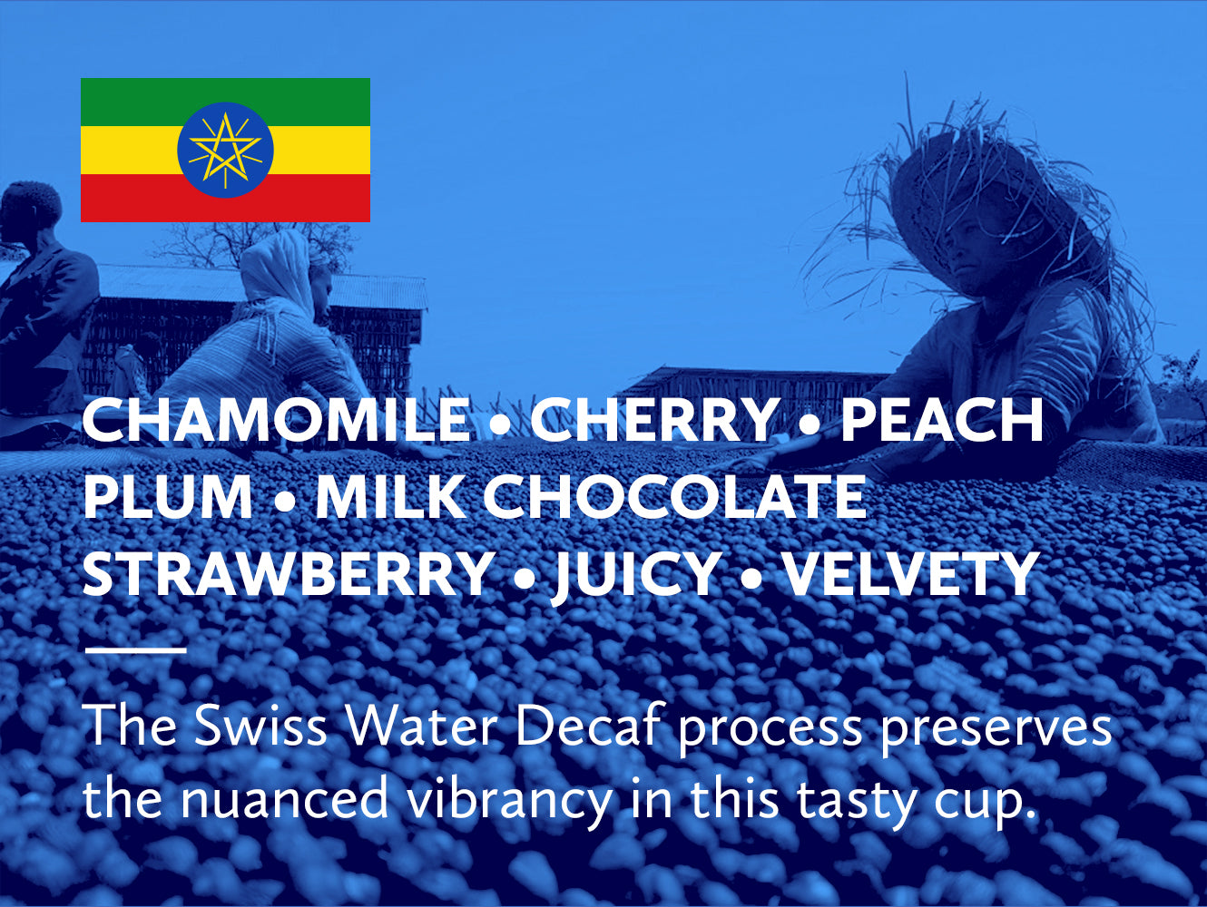 Coffee infographic with tasting notes and Ethiopian flag on a blue background