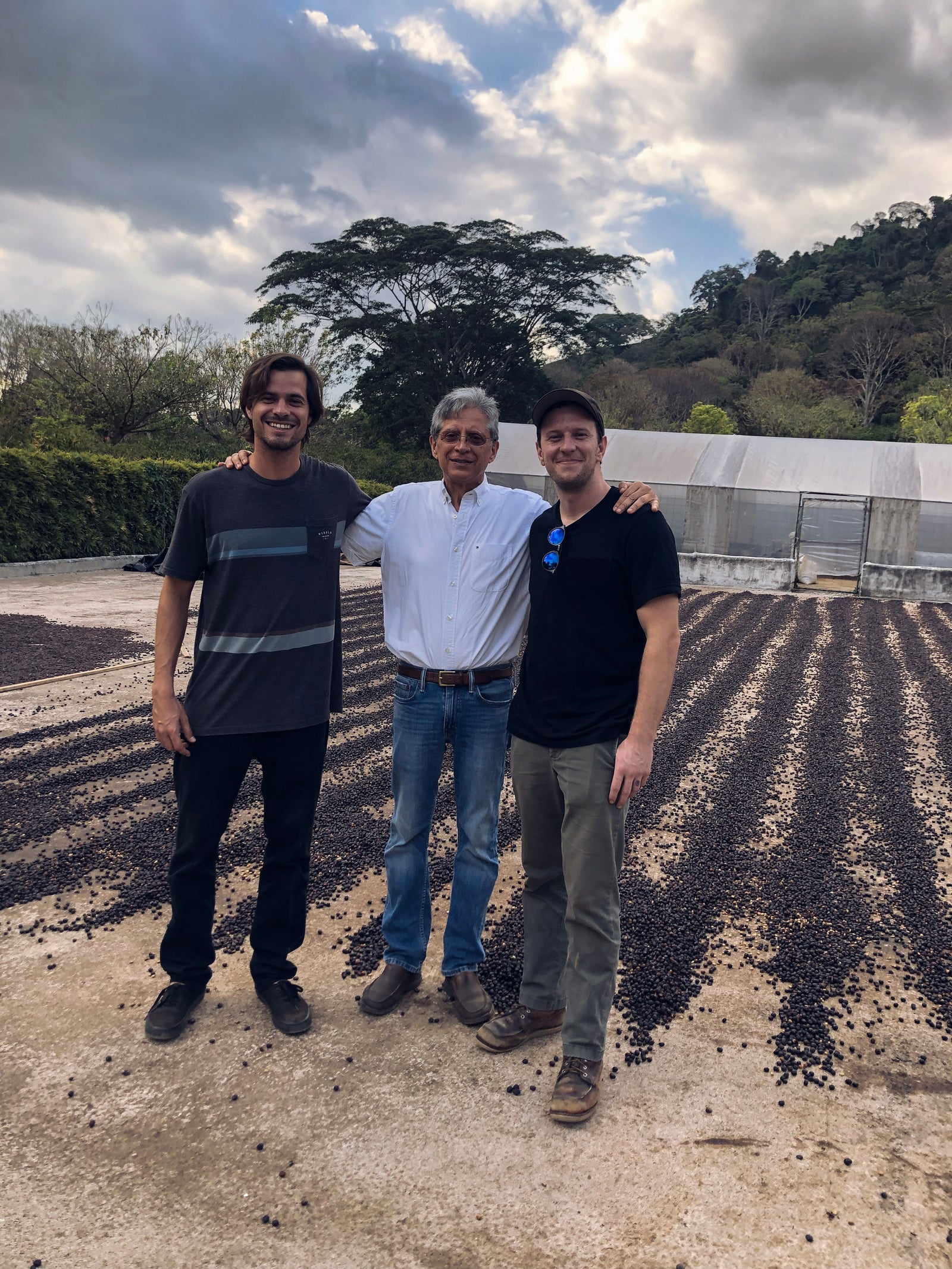 Three people smiling standing in front of drying coffee fruits on a patio with a greenhouse and lush forest in the background.