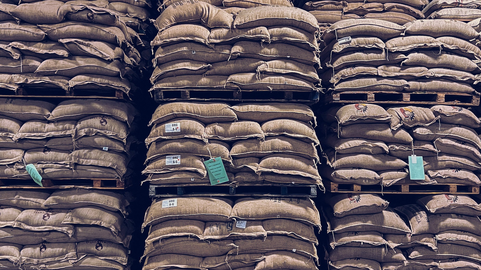 Green coffee bags stacked on pallets in a warehouse