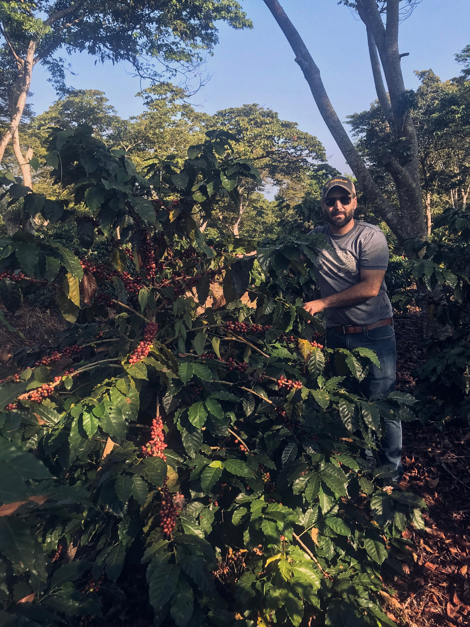 Mario Valiente next to a coffee plant at Finca Las Dos Sofias in El Salvador.