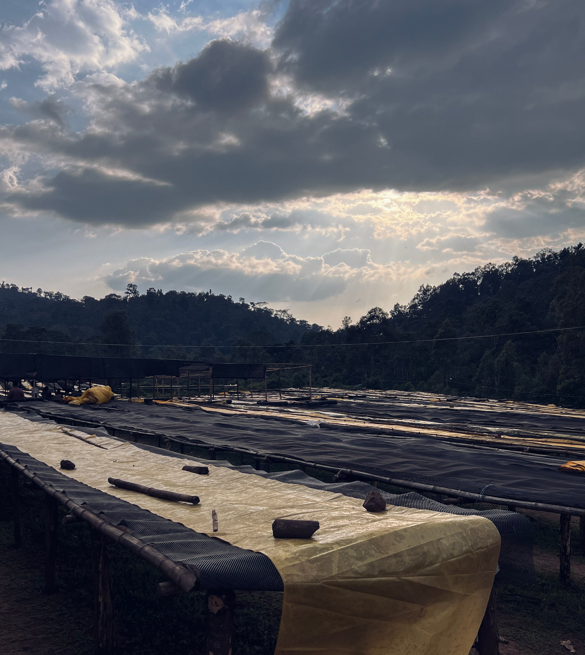 Raised drying beds in Ethiopia. 