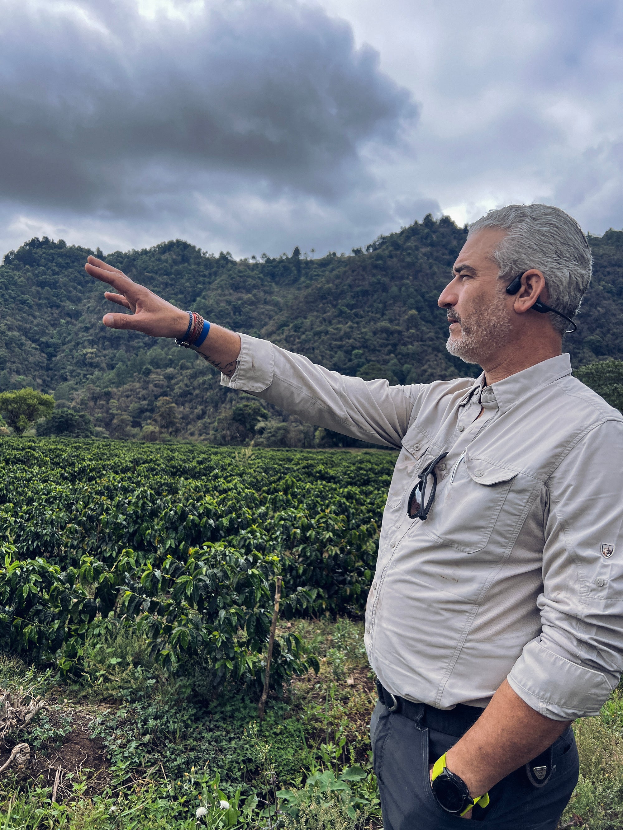 Juan Diego standing in a coffee field with mountains in the background