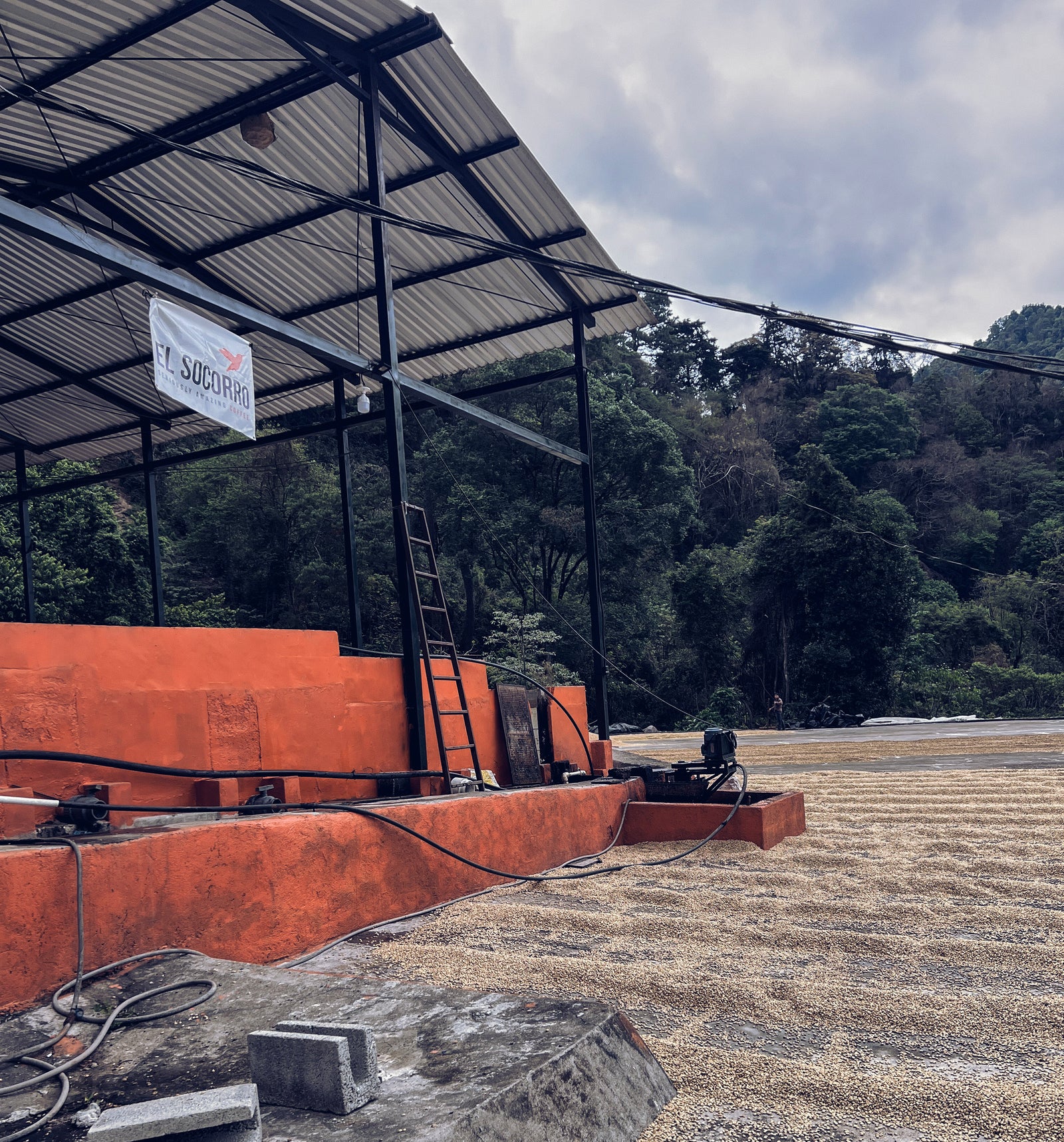 El Socorro wet mill with coffee drying on concrete patios.