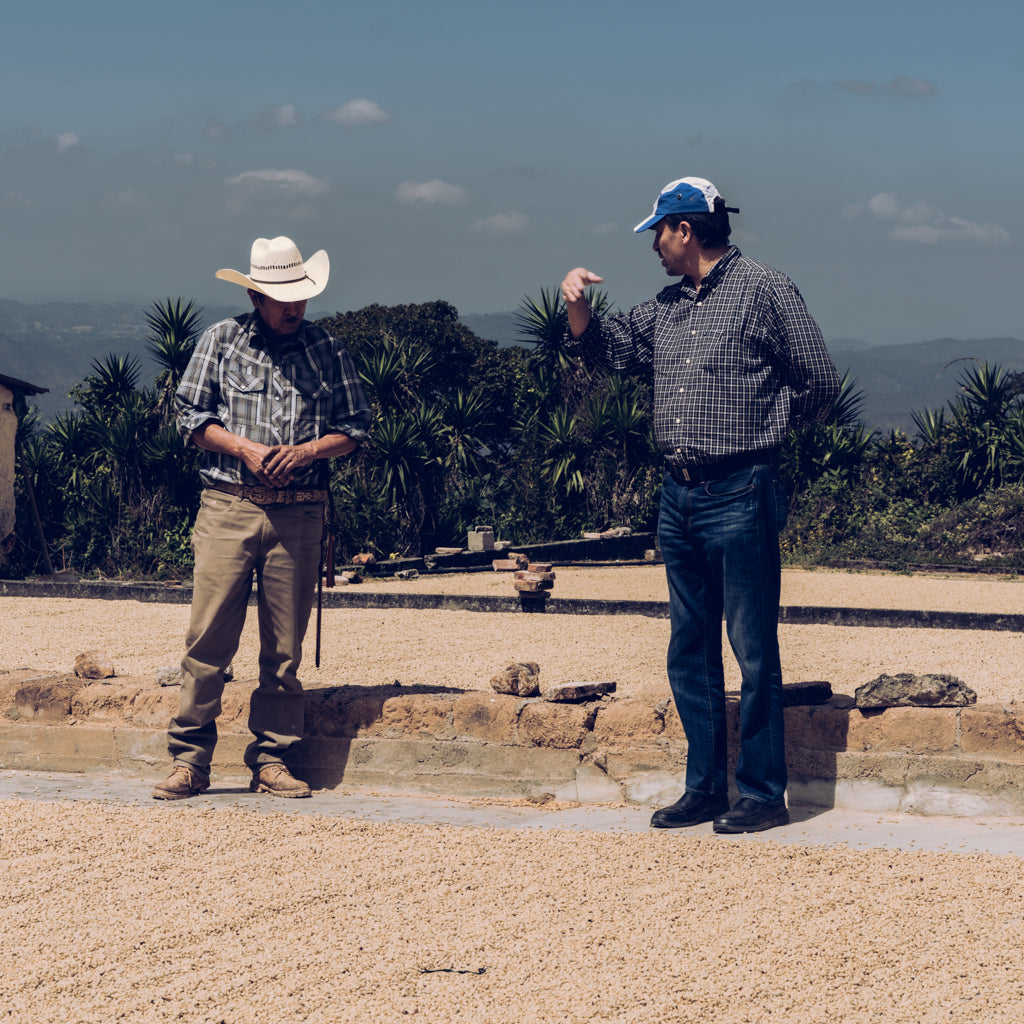 Two men talking while standing next to coffee drying on a concrete patio.