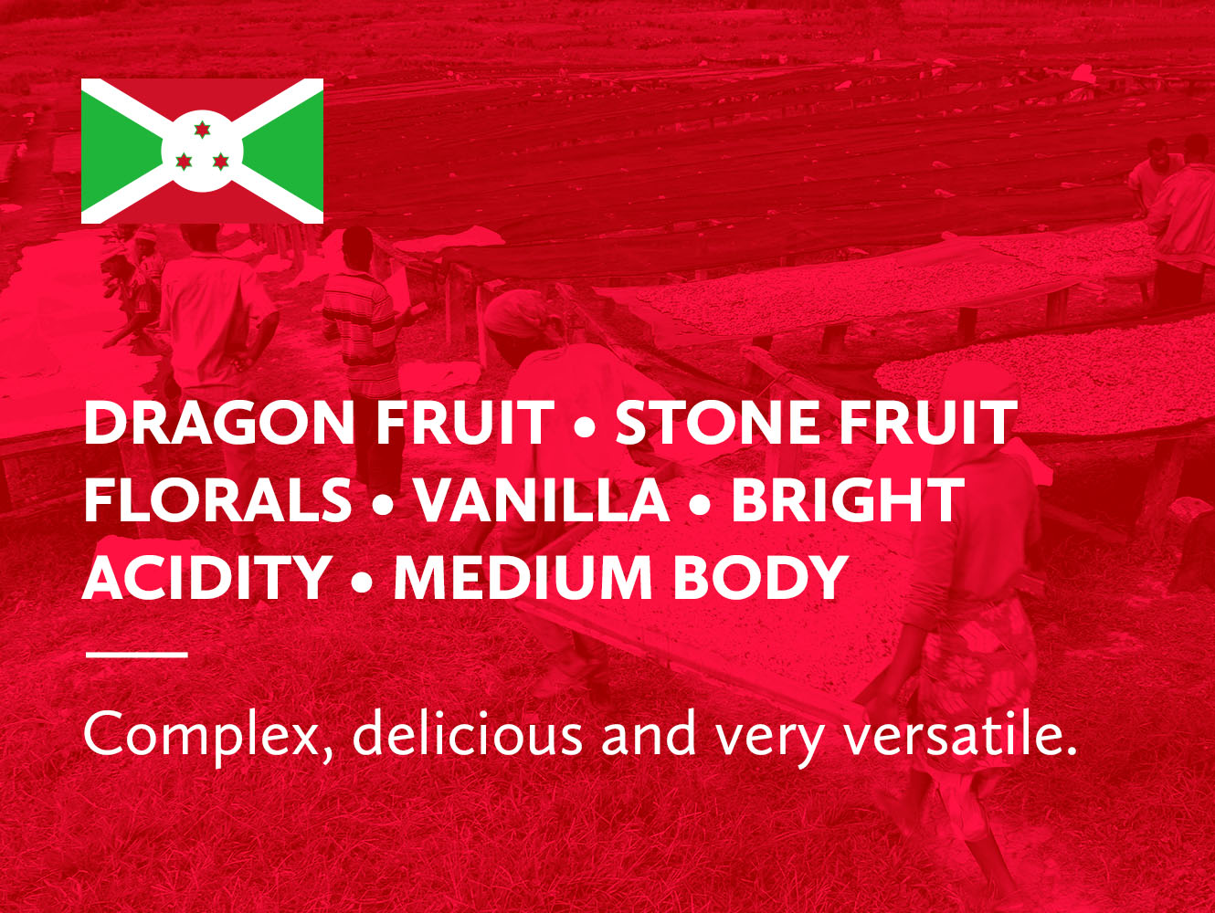 Burundi Nemba Washed