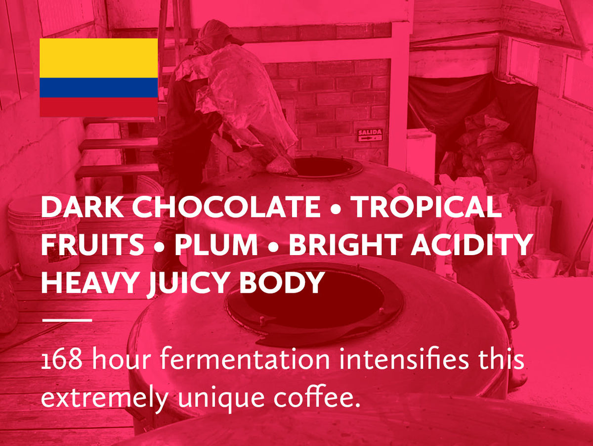 Colombia Finca Luisa Juan Pablo Caturra Carbonic Macerated Natural