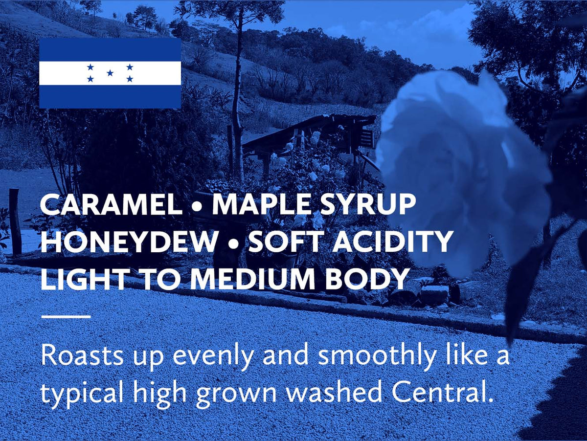 Honduras Lempira Finca El Cachimbon