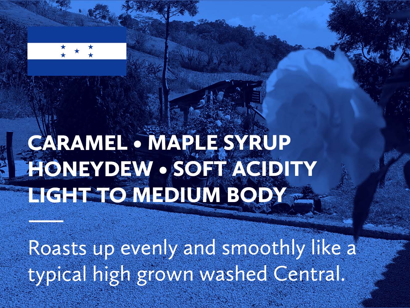 Honduras Lempira Finca El Cachimbon