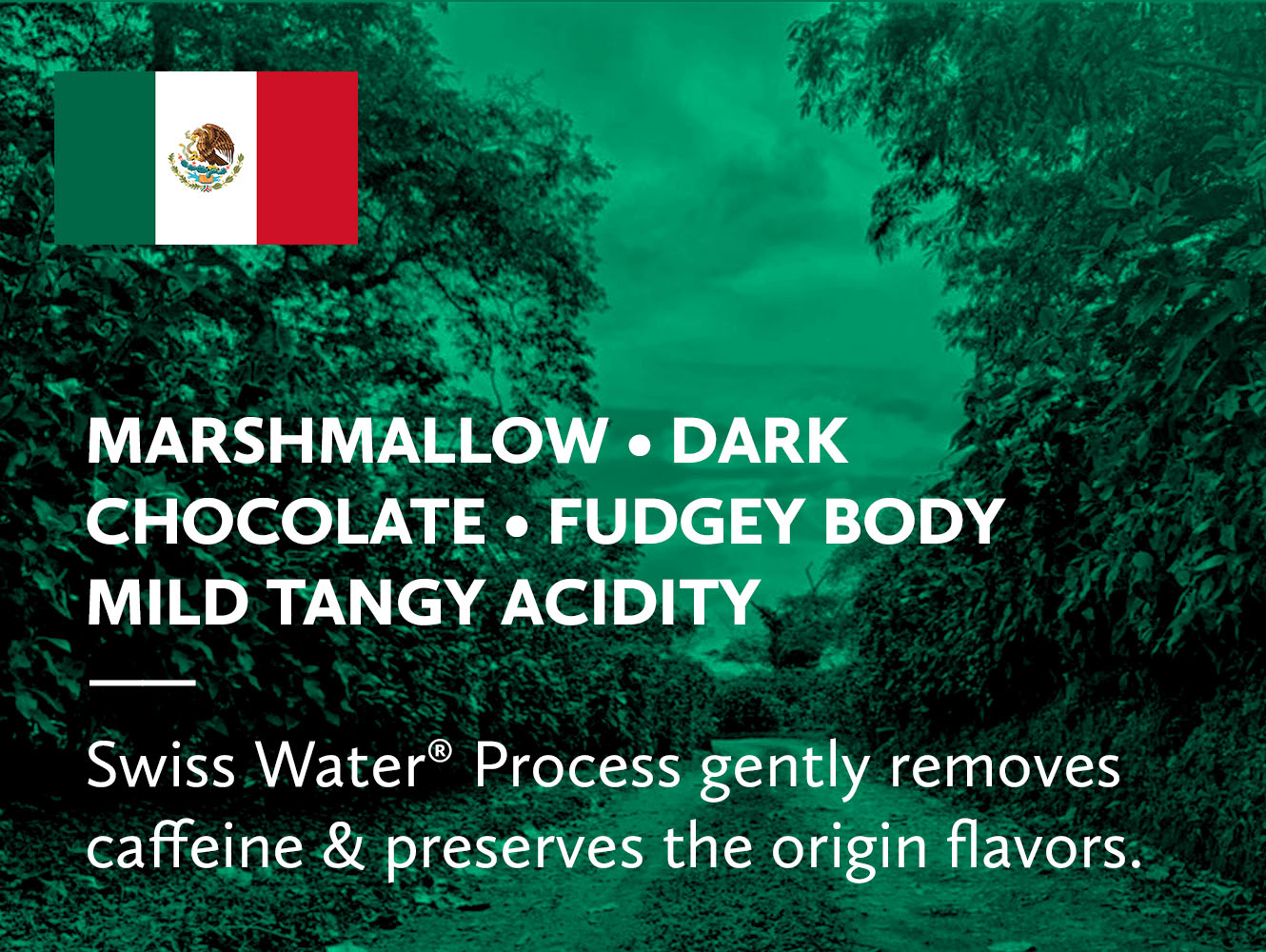 Swiss Water Decaf Mexico Organic HG EP